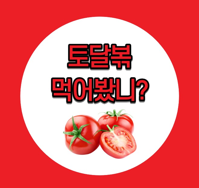 토마토달걀볶음