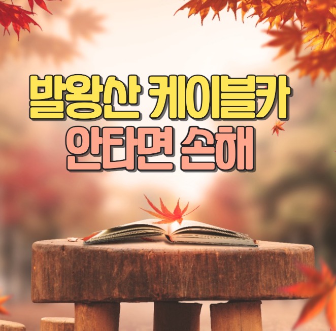 발왕산 관광 케이블카